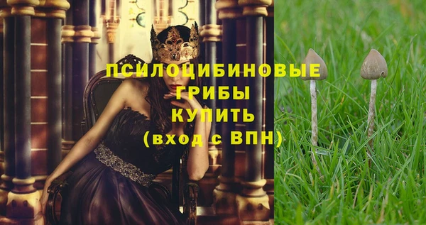 ECSTASY Елабуга